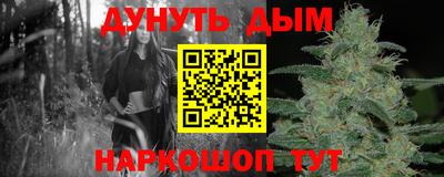 прущие крисы Будённовск